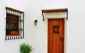 Casa Pangea